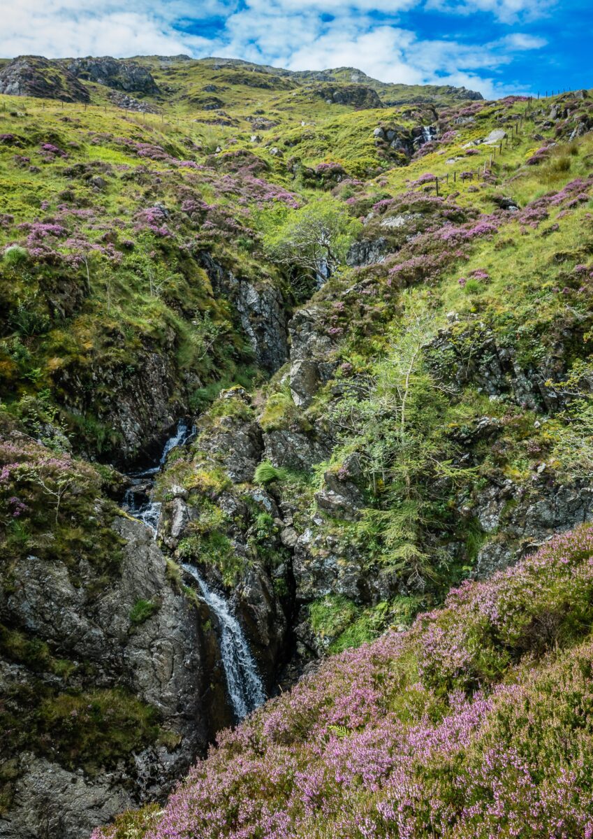 Responding to BEIS, DEFRA and HMT’s call for evidence on the update to the Green Finance Strategy